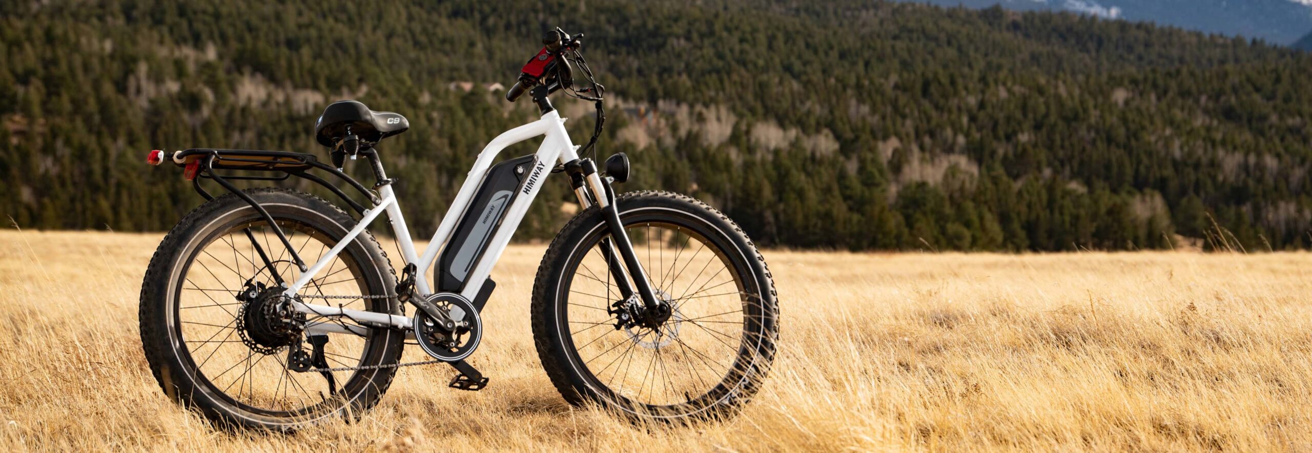 EcoCruiser - Image 5